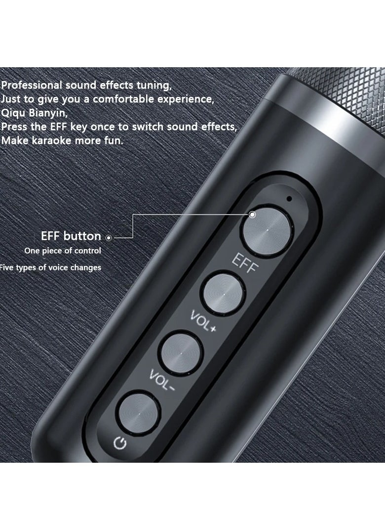 YS 224 Portable Wireless Bluetooth Karaoke Speaker Stereo Bass With Dual Microphones