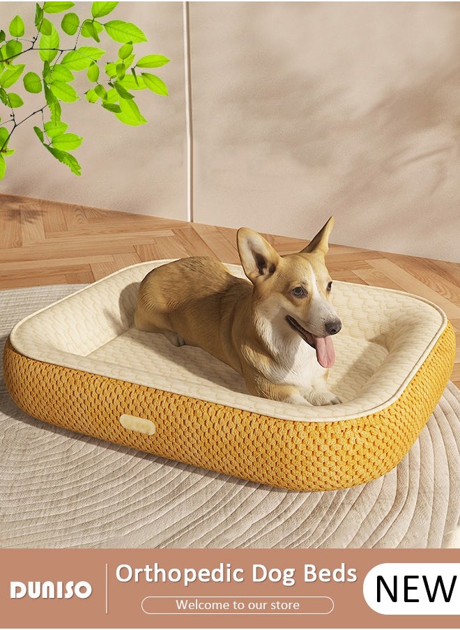 Pet Bed for Cats, Small, Medium Dogs With Nonskid Bottom, Washable All-season Pet Sofa Bed for Indoor, Outdoor, Outside Sleep Sleeping Puppy, Kitten, Pet