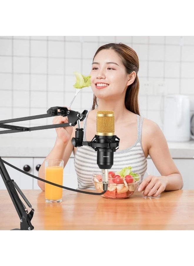 BM800 Condenser Microphone Mic Set with V8 Audio Mixer Sound Card Microphone Stand and Double Layer Pop Filter for Live Streaming Gaming Voice Recording Singing Smule Star Maker