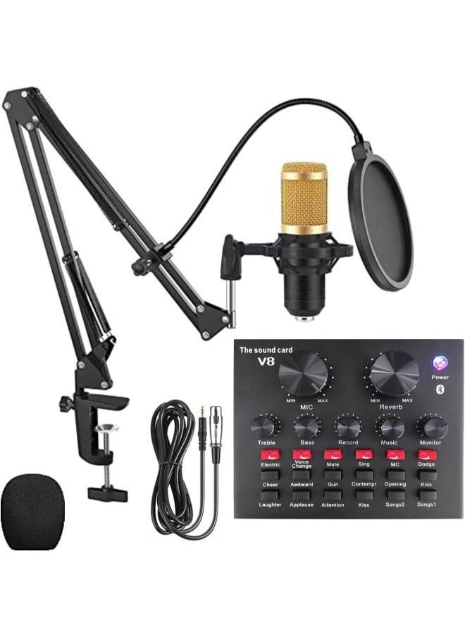 BM800 Condenser Microphone Mic Set with V8 Audio Mixer Sound Card Microphone Stand and Double Layer Pop Filter for Live Streaming Gaming Voice Recording Singing Smule Star Maker