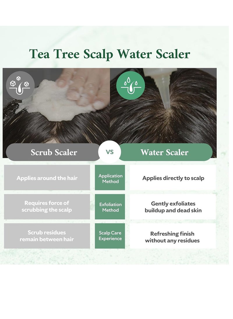 Tea Tree Scalp Treatment | Purifies and Exfoliates Oily Scalp | Natural BHA & Tea Tree | Removes Odor & Buildup | Hypoallergenic Exfoliator, 8.42 fl oz