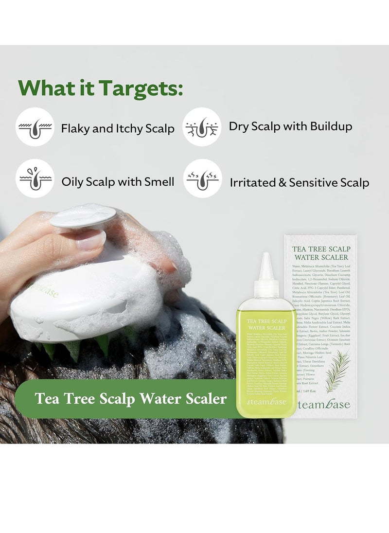 Tea Tree Scalp Treatment | Purifies and Exfoliates Oily Scalp | Natural BHA & Tea Tree | Removes Odor & Buildup | Hypoallergenic Exfoliator, 8.42 fl oz