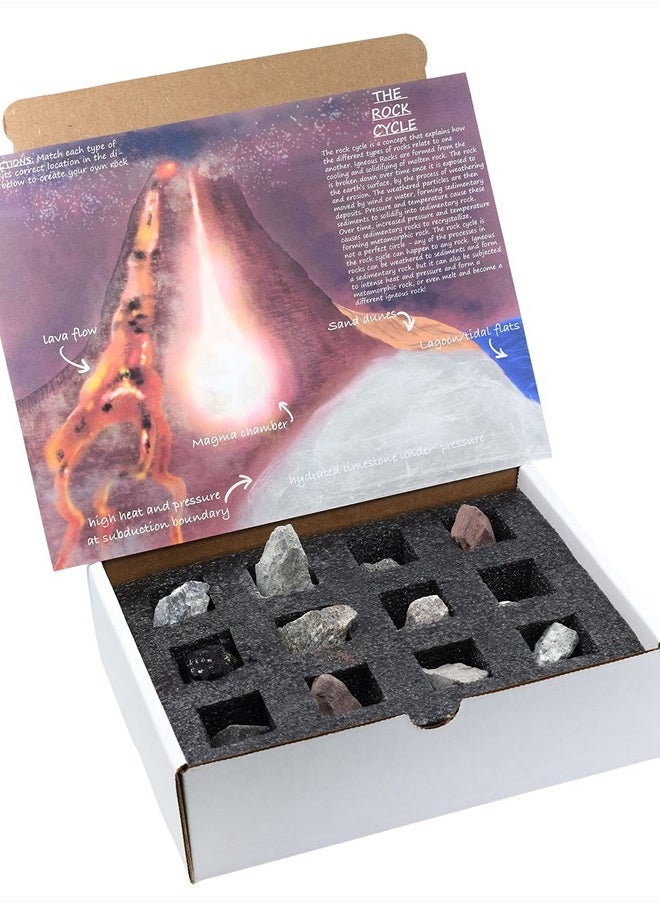 Rock Cycle Kit, 12 Pieces - Includes Metamorphic, Igneous & Sedimentary Rocks - 1