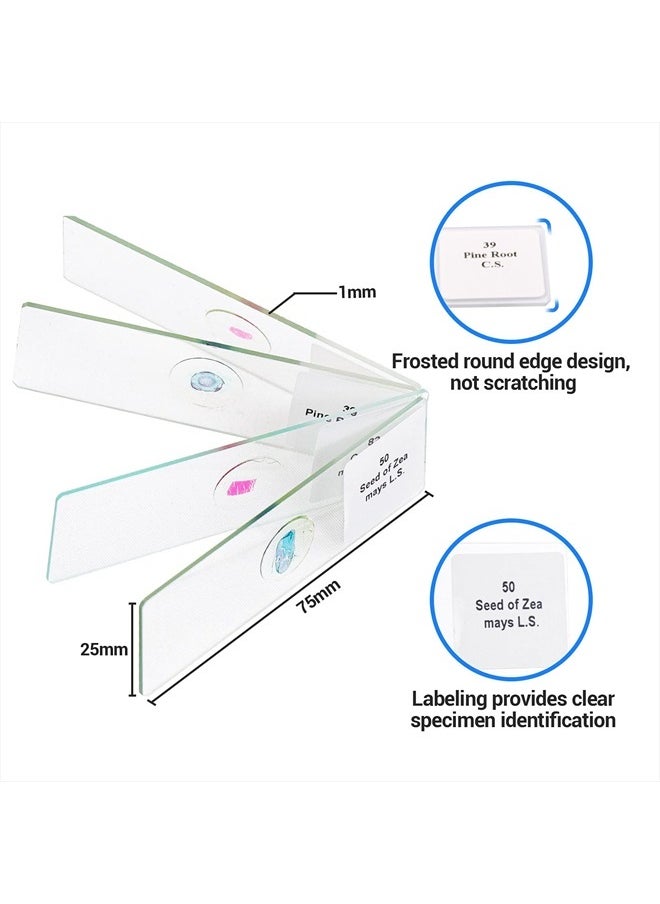 100 Prepared Microscope Slides with Specimens for Kids Adults - Bacterium, Fungus, Human Tissues, Mitosis, Plants, Insects, Animals Cells Samples for Biological Science Lab, School Students