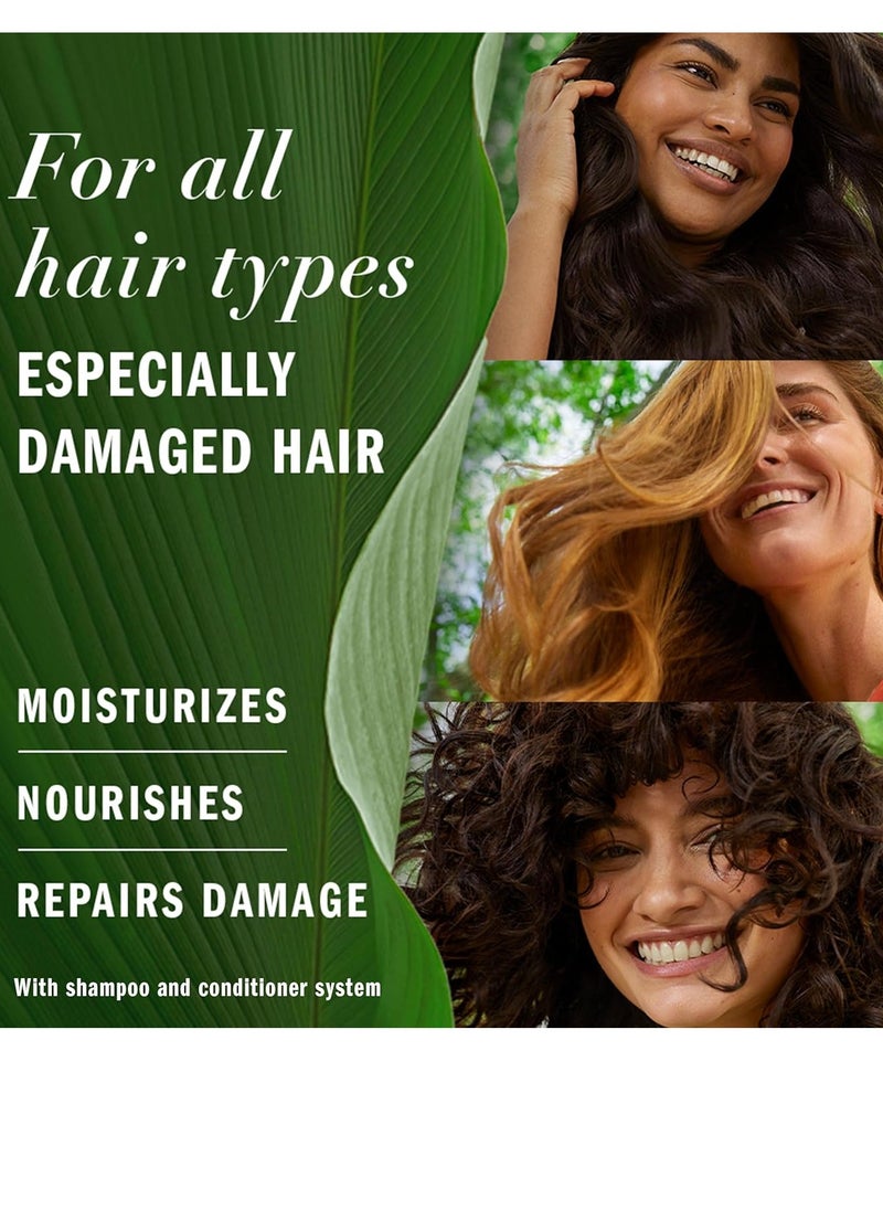 Herbal Essences Argan Oil Repair Shampoo & Conditioner Set, Moisturizes & Smoothes, Paraben-Free, Color-Safe, pH-Balanced, Citrus Scent, 20.2 Fl Oz, 2-Pack