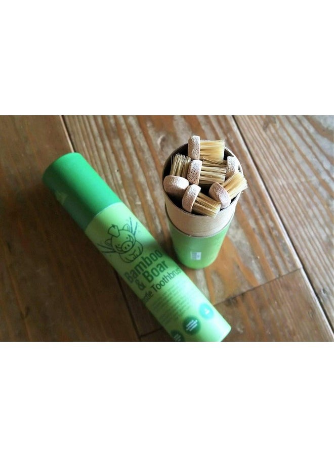 Natural Bristle Bamboo Toothbrush (No Nylon - Boar Hair Only) - Totally Compostable & Biodegradable Boar Bristle And Bamboo Toothbrushes - Zero Waste - 6-Pack