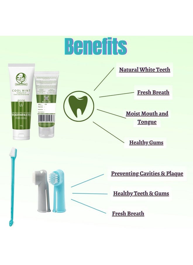 Pet Dental Oral Care Kit Combo - (Coolmint Toothpaste- 100G + 3Pcs Toothbrush) For Dogs | Soothes Inflame Gums, Remove Bad Breath, And Mix Of Clove & Cinnamon Oil For Dogs And Puppies