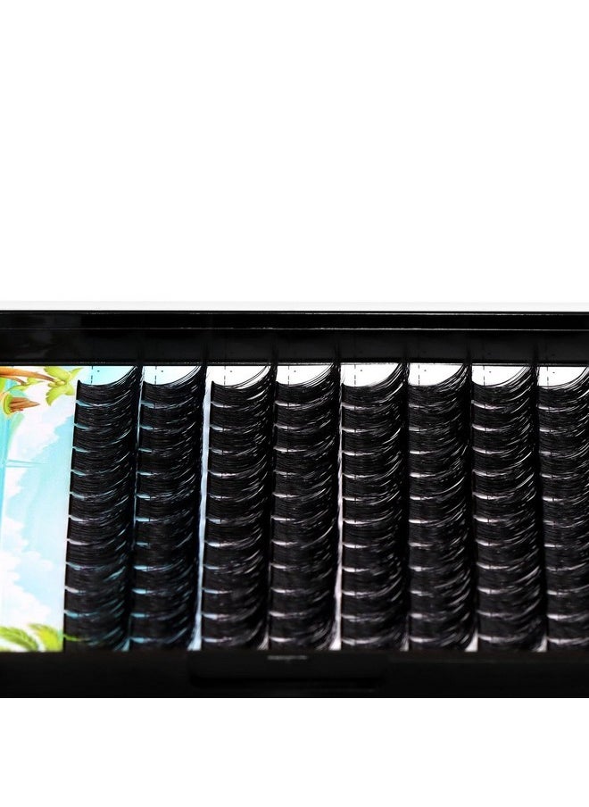 Large Pack 8-20Mm To Choose D Curl Cluster Eyelash Extensions D Curl Wide Stem Individual False Eyelashes Dramatic Volume Eye Lashes Set Home Diy Lashes (10Mm)