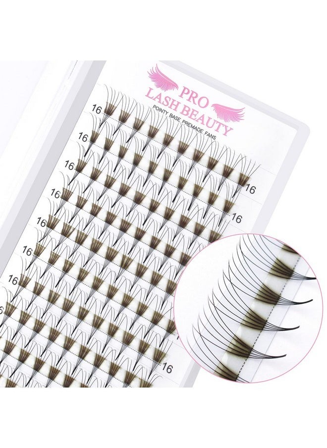 Premade Fans Eyelash Extensions 5D-D-0.10-10 Premade Volume Lash Extensions Pointed Base Fans 0.10 Premade Volume Fans C D Curl(5D-D-0.10,10 Mm)