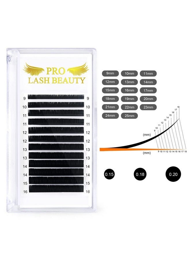 Eyelash Extension, Classic Lash Extensions D-0.20-11 Single Lash Extensions 0.15/0.18/0.20 Individual Lashes C/D Curl (D-0.20,11 Mm)