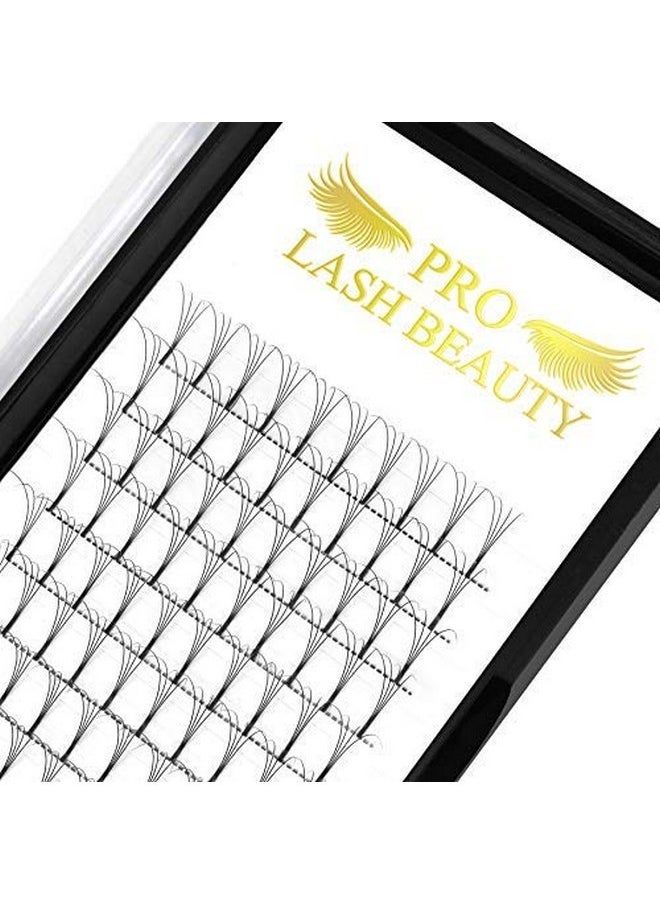 Premade Volume Eyelash Extensions 5D-D-0.10-13 Long Stem .07 .10 Premade Fans Eyelash Extensions Volume Lash Extensions C D Curl Premade Volume Fans (5D-D-0.10,13 Mm)