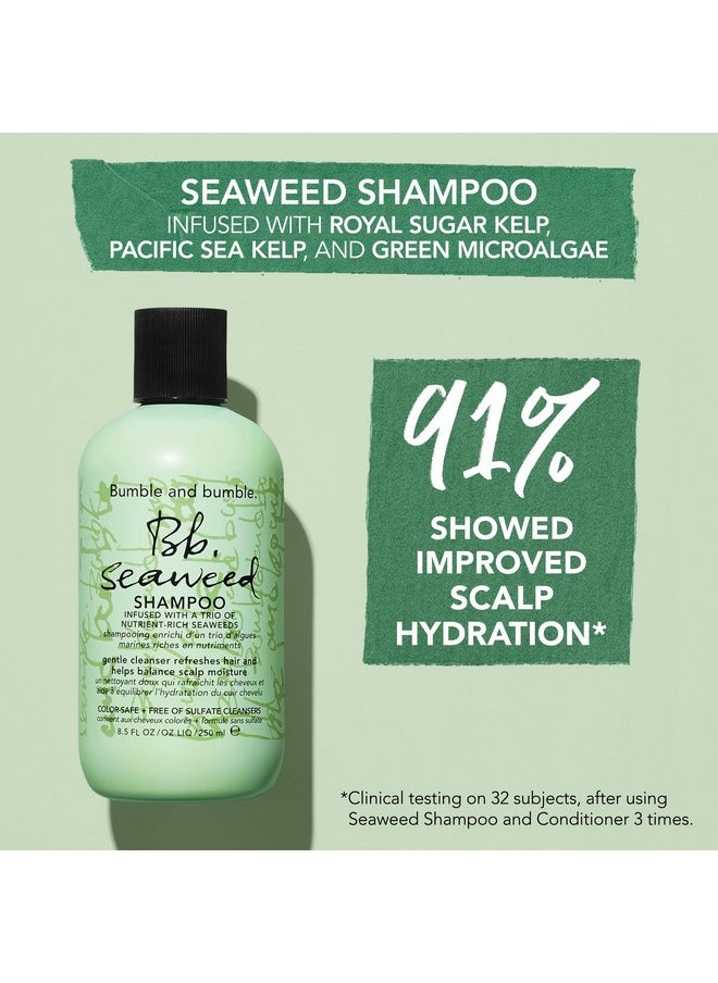 Seaweed Hydrating Shampoo | For Fine-To-Medium Hair Or Daily Washer | Sulfate-Free + Color Safe | Standard Size, 8.5 Fl. Oz.