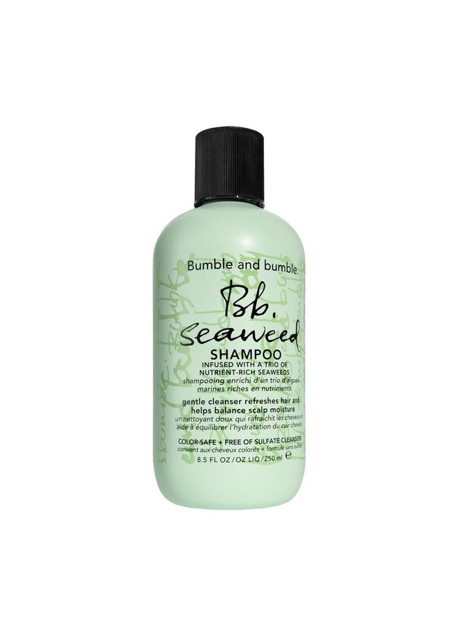 Seaweed Hydrating Shampoo | For Fine-To-Medium Hair Or Daily Washer | Sulfate-Free + Color Safe | Standard Size, 8.5 Fl. Oz.