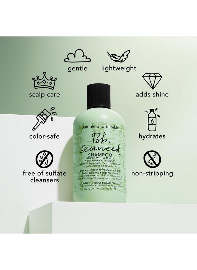 Seaweed Hydrating Shampoo | For Fine-To-Medium Hair Or Daily Washer | Sulfate-Free + Color Safe | Standard Size, 8.5 Fl. Oz.