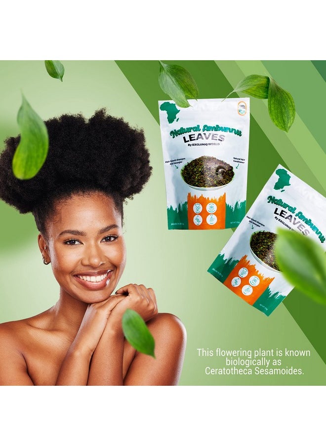 Natural Ambunnu Leaves By Excluniq World 50G Pack | Herbal Hair Detangler, Shampoo & Conditioner For Dry And Damaged Hair | African Traditional Scalp & Hair Care Remedy For Girls, Women & Men