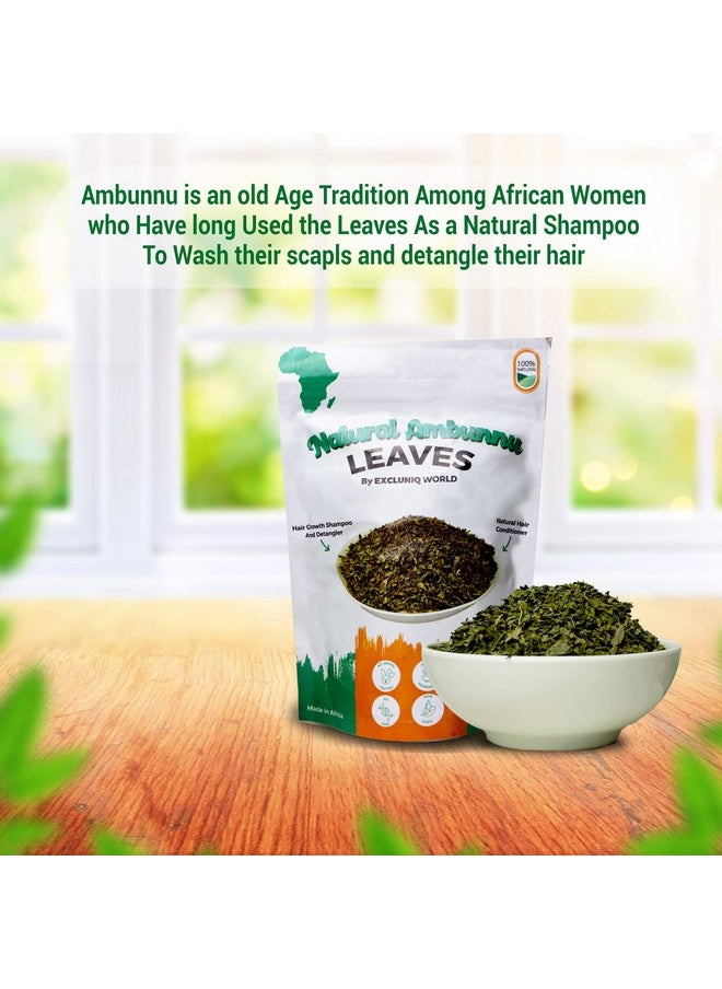 Natural Ambunnu Leaves By Excluniq World 50G Pack | Herbal Hair Detangler, Shampoo & Conditioner For Dry And Damaged Hair | African Traditional Scalp & Hair Care Remedy For Girls, Women & Men