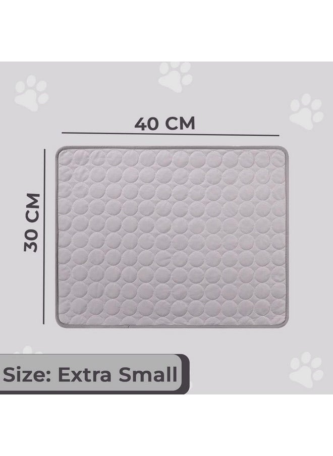 Rectangular Dog & Cat Bed|Premium Cool Ice Silk With Polyester With Bottom Mesh|Multi-Utility Self-Cooling Pad For Dog & Cat|Light-Weight & Durable Dog Bed|Zqcj001Dg-Xs|Dark Grey