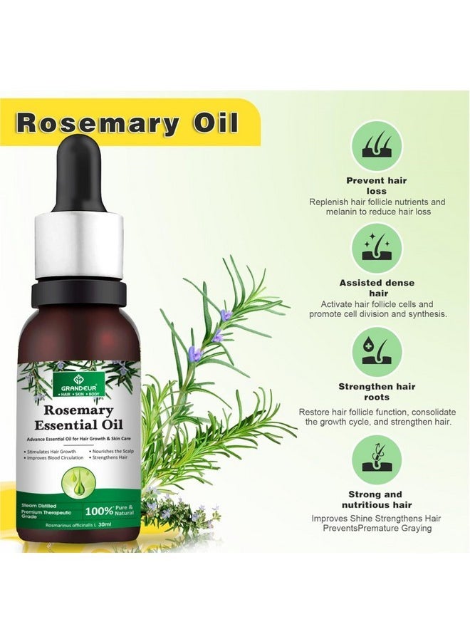 Rosemary Essential Oil For Hair Growth, Hair Fall Control & Scalp Nourishment 100% Pure, Natural, Skin Care, 90Ml (Pack Of 3)