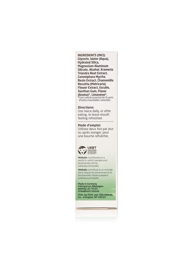Plant Gel Toothpaste, 2.5 Ounce