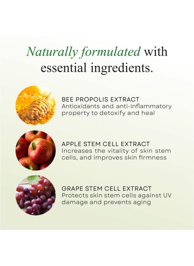 Signature Stem Cell Shampoo And Hair Masque Set, Promotes Healthy Hair Growth, Bee Propolis & Stem Cell Extracts, 12 Fl.Oz Each