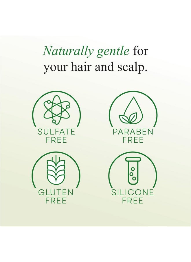 Signature Stem Cell Shampoo And Hair Masque Set, Promotes Healthy Hair Growth, Bee Propolis & Stem Cell Extracts, 12 Fl.Oz Each