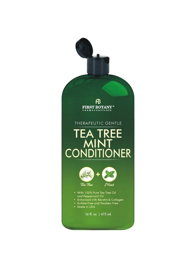 , Tea Tree Oil Conditioner 16 Fl Oz - Anti Dandruff Natural Oil Conditioner For Dry Itchy & Flaky Scalp - Sulfate Free Paraben Free Cleanser - Prevents Head Lice & Thinning