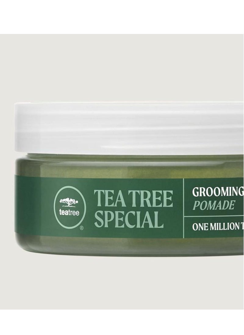 Tea Tree Grooming Pomade, Flexible Hold + Shine, For All Hair Types, Especially Wavy + Curly, 3 oz.