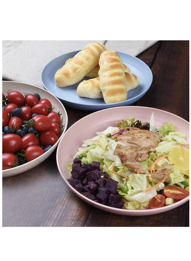 Dinner Plates Set 4 Pack 8