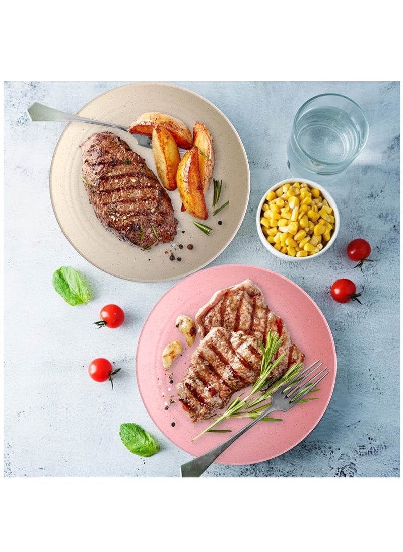 Dinner Plates Set 4 Pack 8