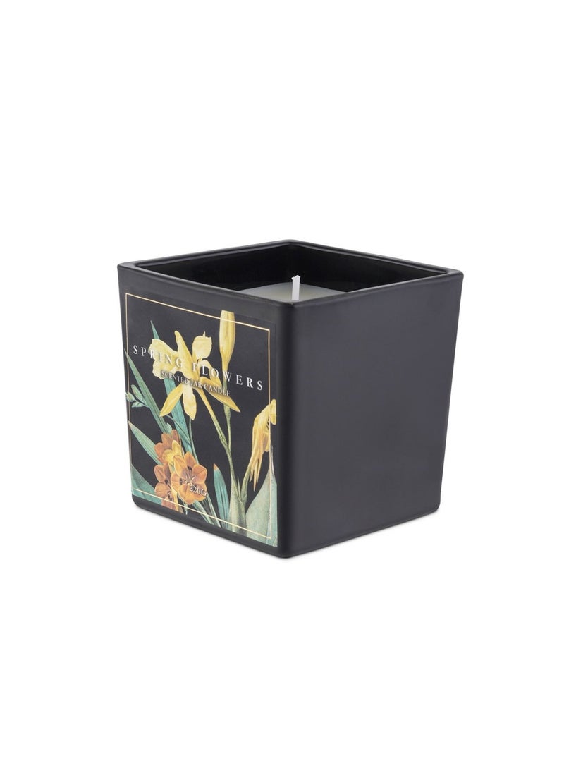 Botany Spring flowers Black Scented Jar candle 220gm- 28 Hrs