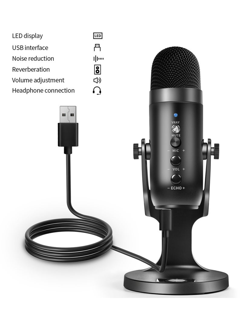 Jmary Multifunctional USB Recording Microphone MC-PW8