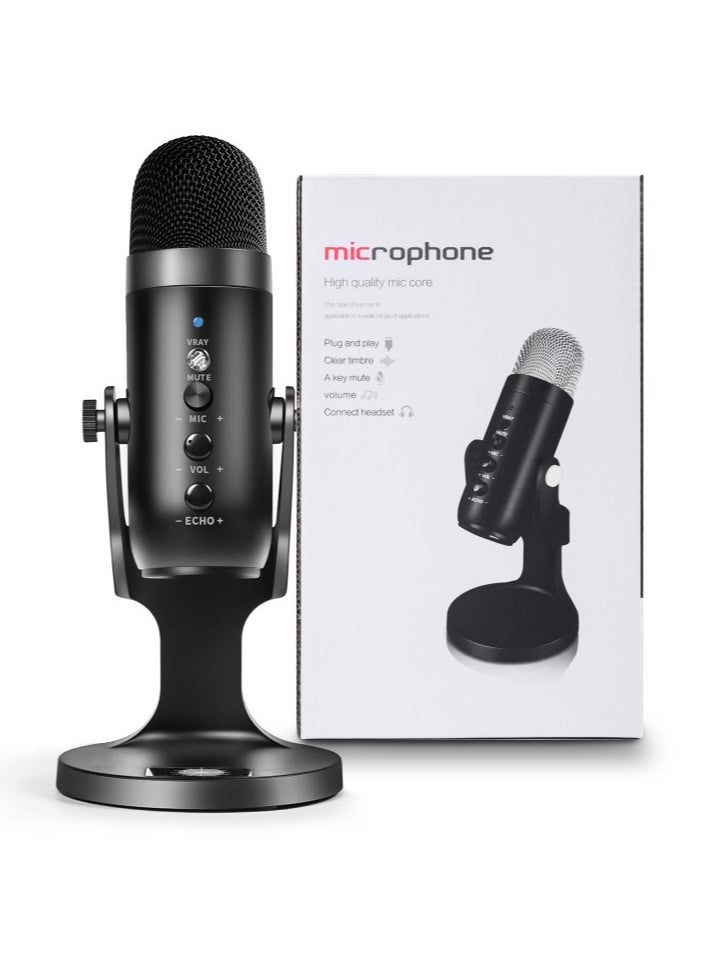 Jmary Multifunctional USB Recording Microphone MC-PW8