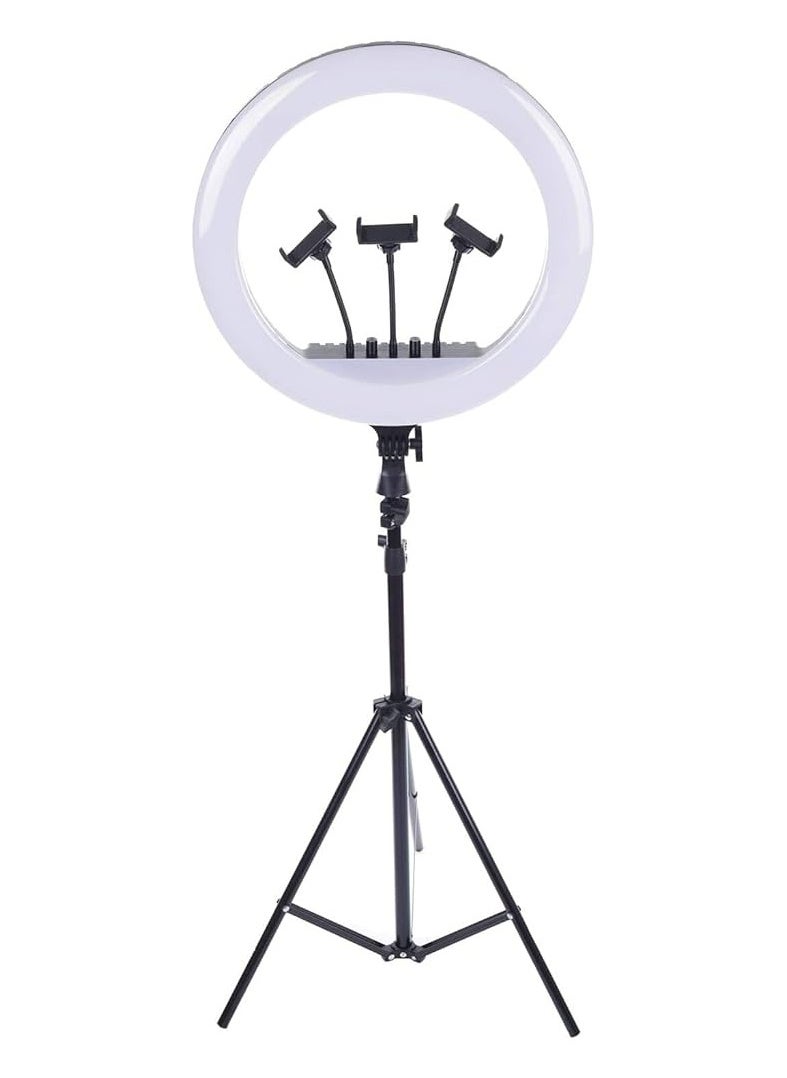 RL-18 Ring Light With Tripod Stand And Selfie Light With Remote Control And 360° Phone Holder For Live Broadcast Youtube Instagram And Tik Tok Video Making