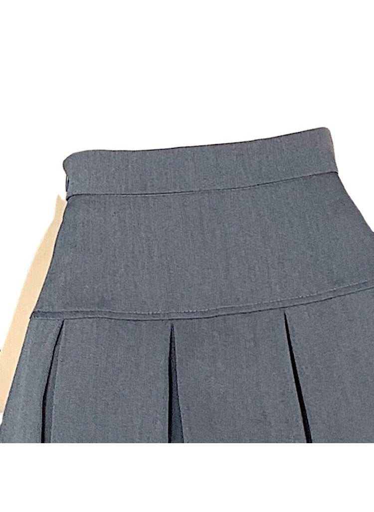 Gray High Waist Pleated Skirt Autumn A-Line Mini Black/lined