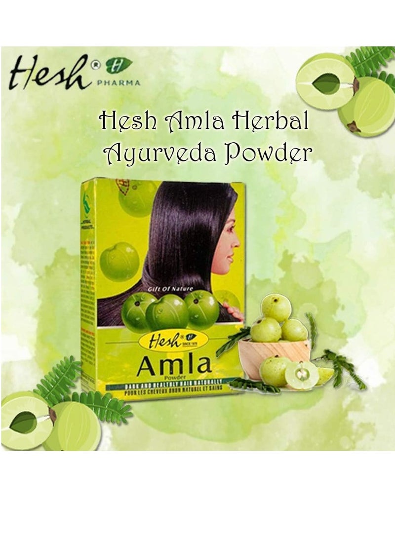 Hesh Pharma Amla Hair Powder 3.5oz., 100g (Pack of 2)