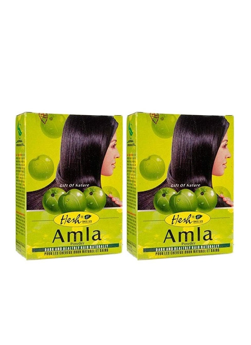 Hesh Pharma Amla Hair Powder 3.5oz., 100g (Pack of 2)