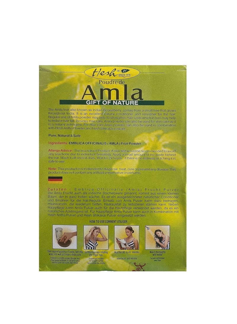 Hesh Pharma Amla Hair Powder 3.5oz., 100g (Pack of 2)