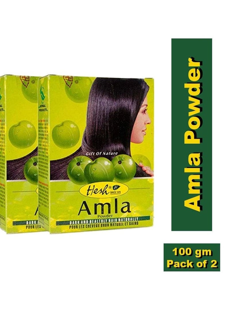 Hesh Pharma Amla Hair Powder 3.5oz., 100g (Pack of 2)