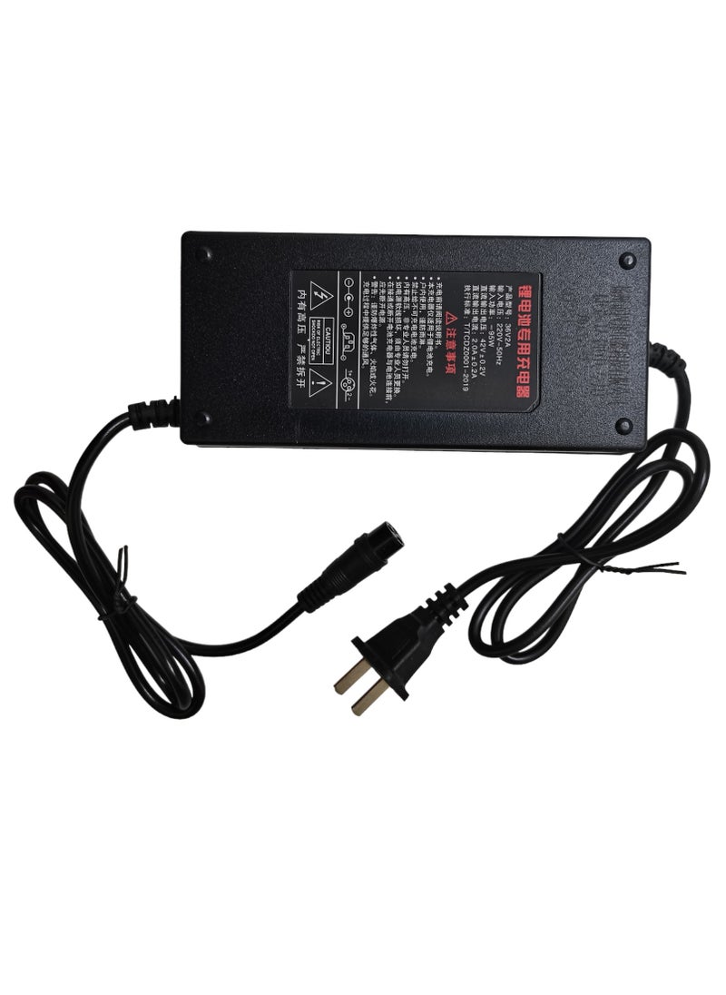 E10 scooter Battery charger 48V 2A