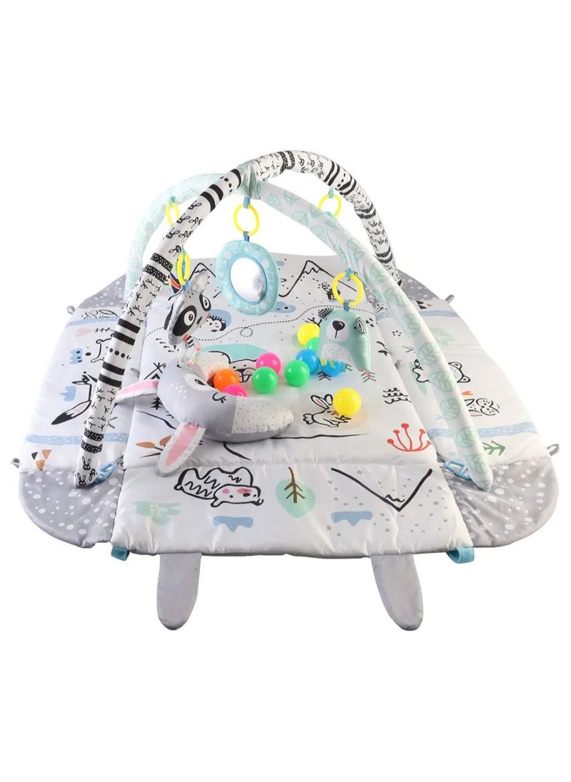 Baby 4 in 1 Play Mat Play Gym Activity Foldable Play Mat Includes Bag 20-Balls Tummy Play Kick Stimulate.