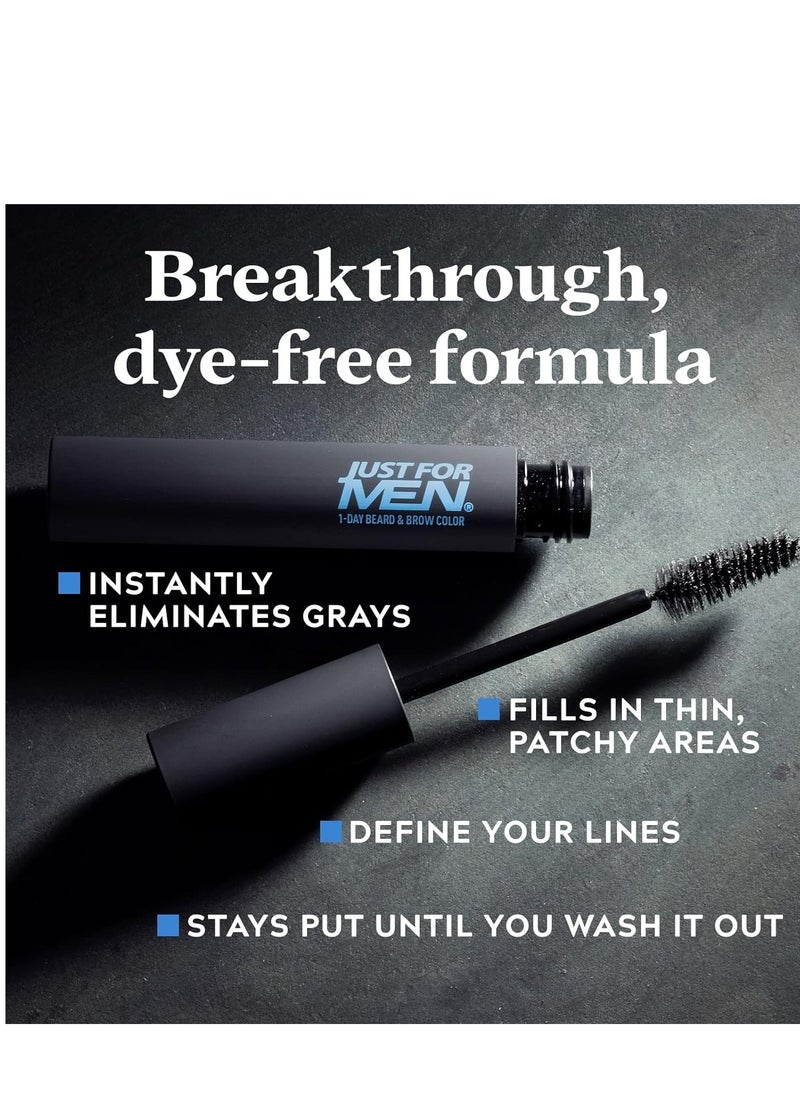 Just for Men 1-Day Beard & Brow Color, Temporary Color for Beard and Eyebrows, For a Fuller, Well-Defined Look, Up to 30 Applications, Black
