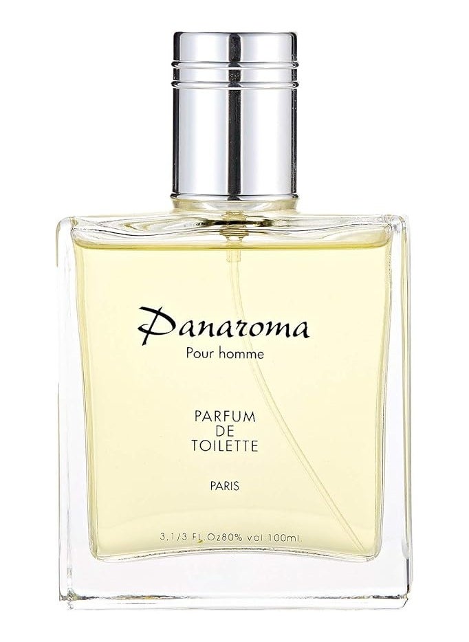 Panaroma Pour Homme Parfum De Toilette - 100ml