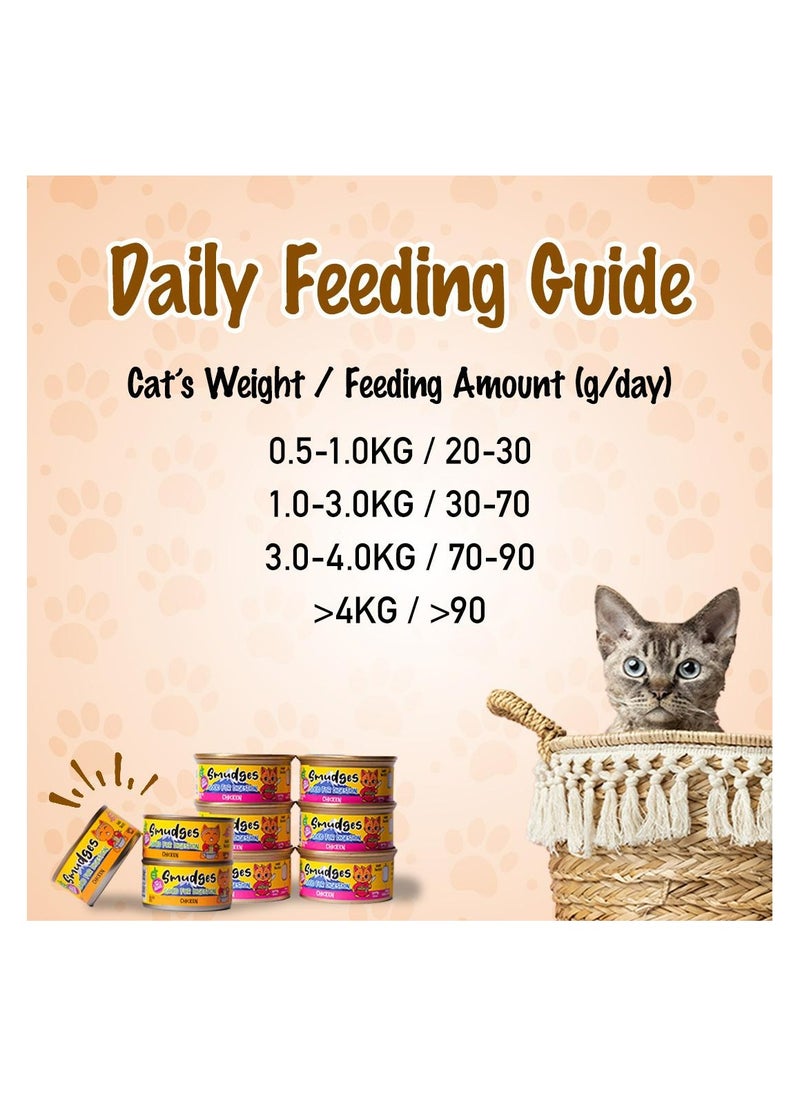 Adult Cat wet food with Tuna Flakes With Salmon in Soft Jelly 80g- Pack of 24