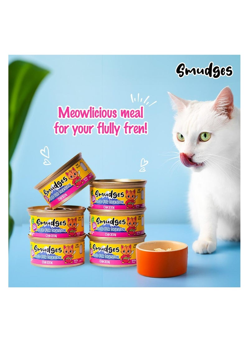 Adult Cat wet food with Tuna Flakes With Salmon in Soft Jelly 80g- Pack of 24