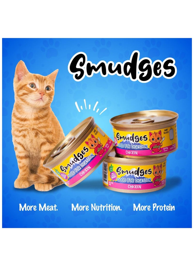 Adult Cat wet food with Chicken With Salmon In Gravy 80g- Pack of 24