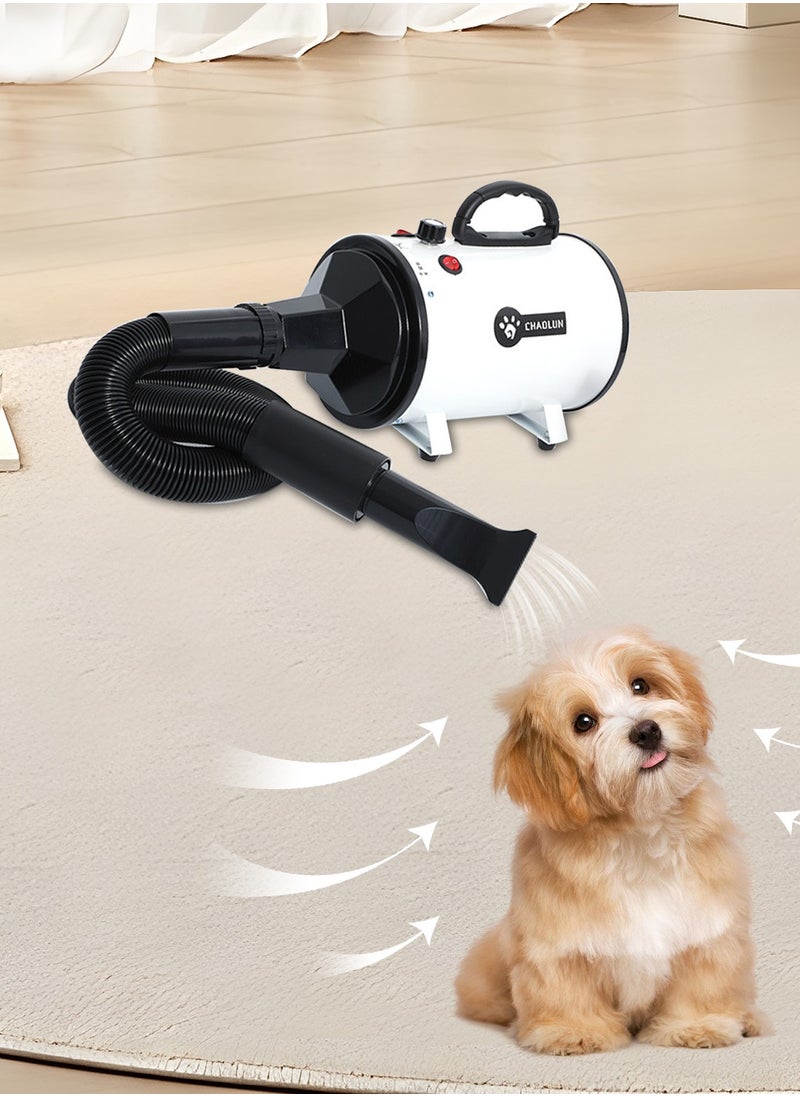 Pet Hair Dryer Cat And Dog Bath Hair Drying Tool Electric Silent Grooming Tool