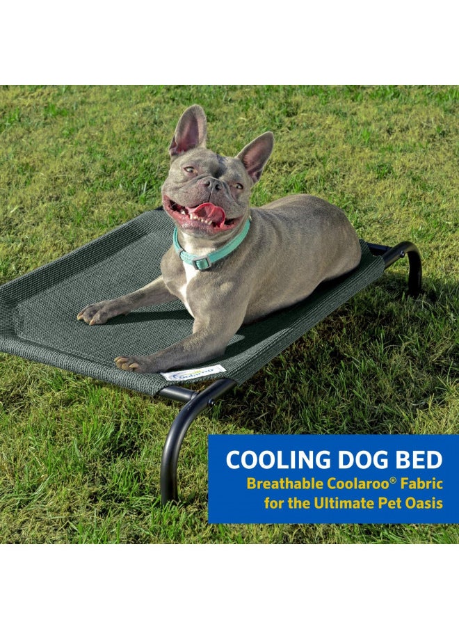 Gale Pacific Coolaroo The Original Cooling Elevated Dog Bed, Indoor and Outdoor, Large, Brunswick Green
