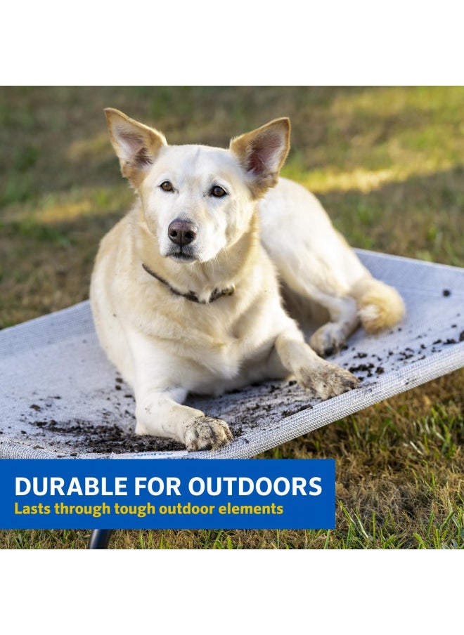 Gale Pacific Coolaroo The Original Cooling Elevated Dog Bed, Indoor and Outdoor, Large, Brunswick Green