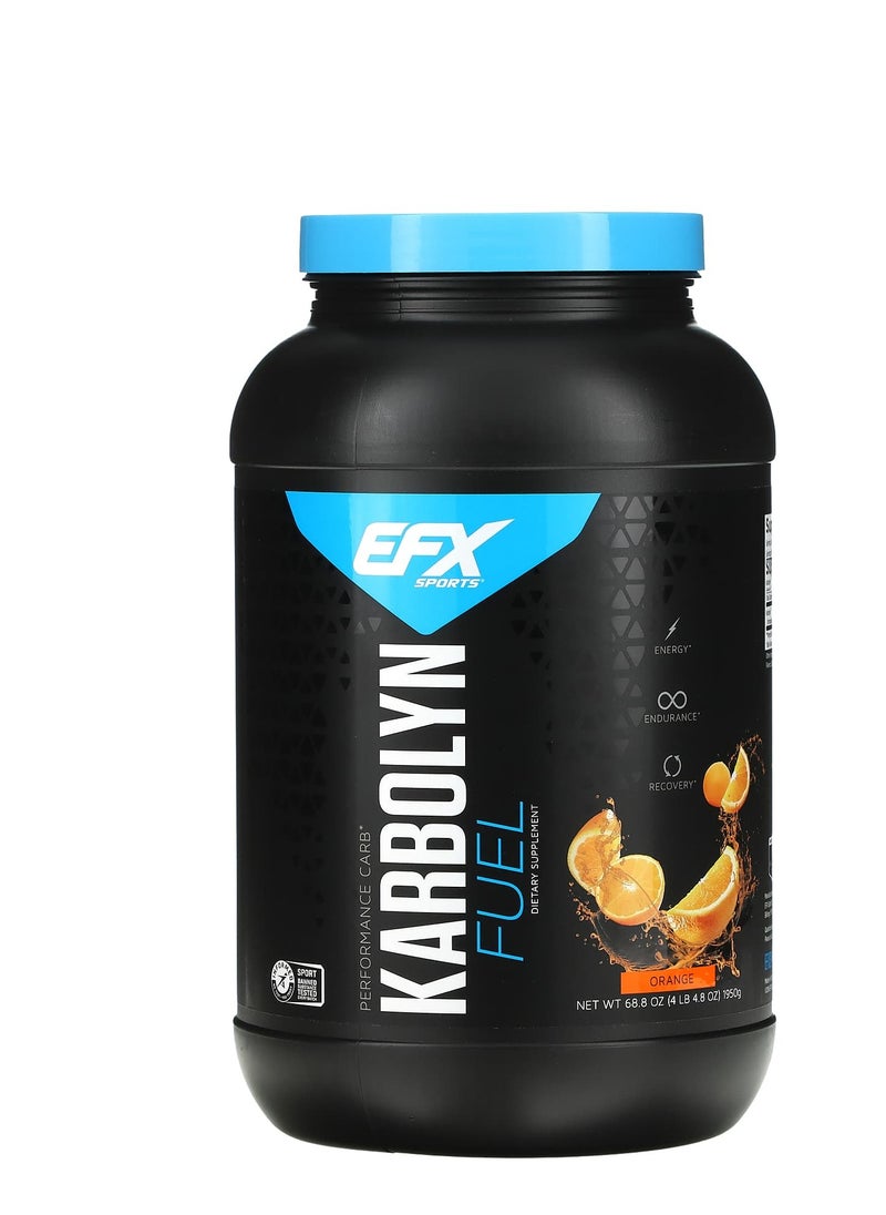 EFX Sports Karbolyn Fuel Kiwi Strawberry 4 lbs 4.8 oz (1950 g)