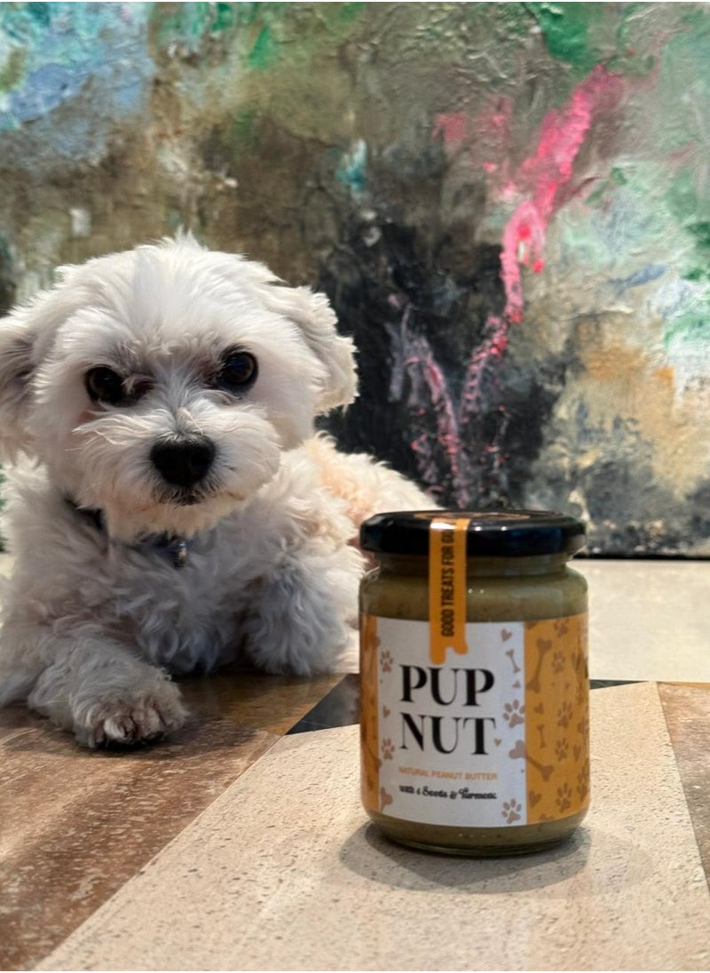 PupNut | Dog Treat 100% Natural Peanut Butter for Dogs with 4 Seeds and Turmeric | Healthy Super food | No Xylitol/No Additives/No Preservatives | Made in the UAE | 200g